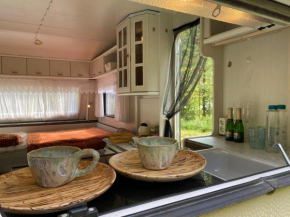 Karula Stay Camper in Karula National Park
